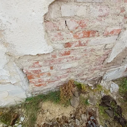 pavlacpavlač porastená zakorenenou náletovou zeleňou, popraskanaá horná vrstva sekundárnej vrstvy